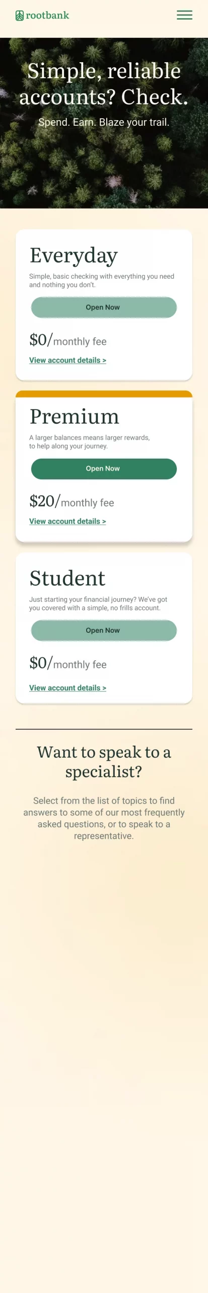Banking Checking Account Page