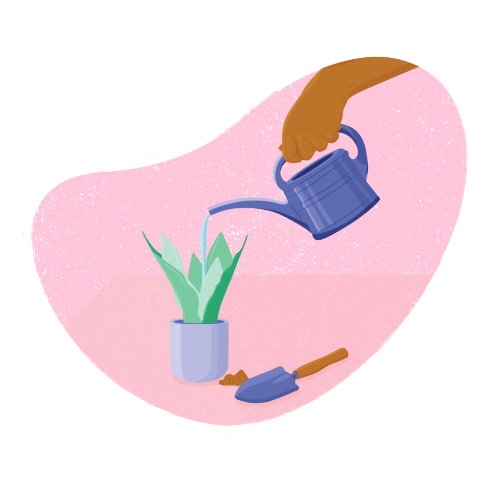 Hand watering a plant with a watering can.